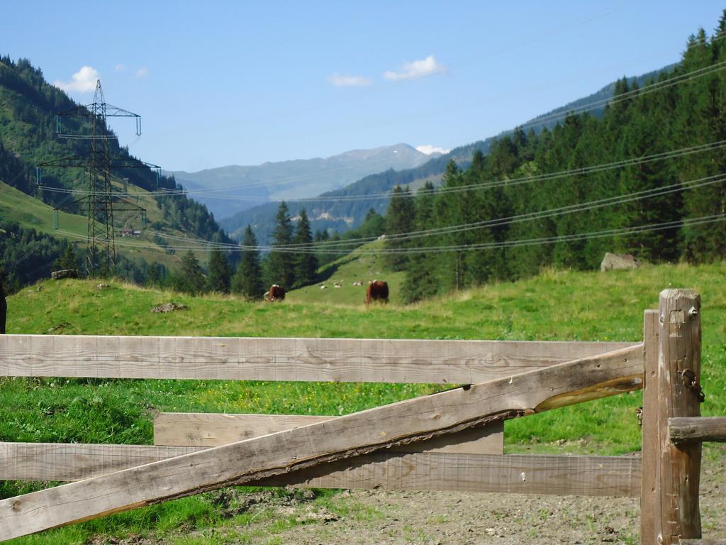 Appartement Einödberg Mittersill Rum bild